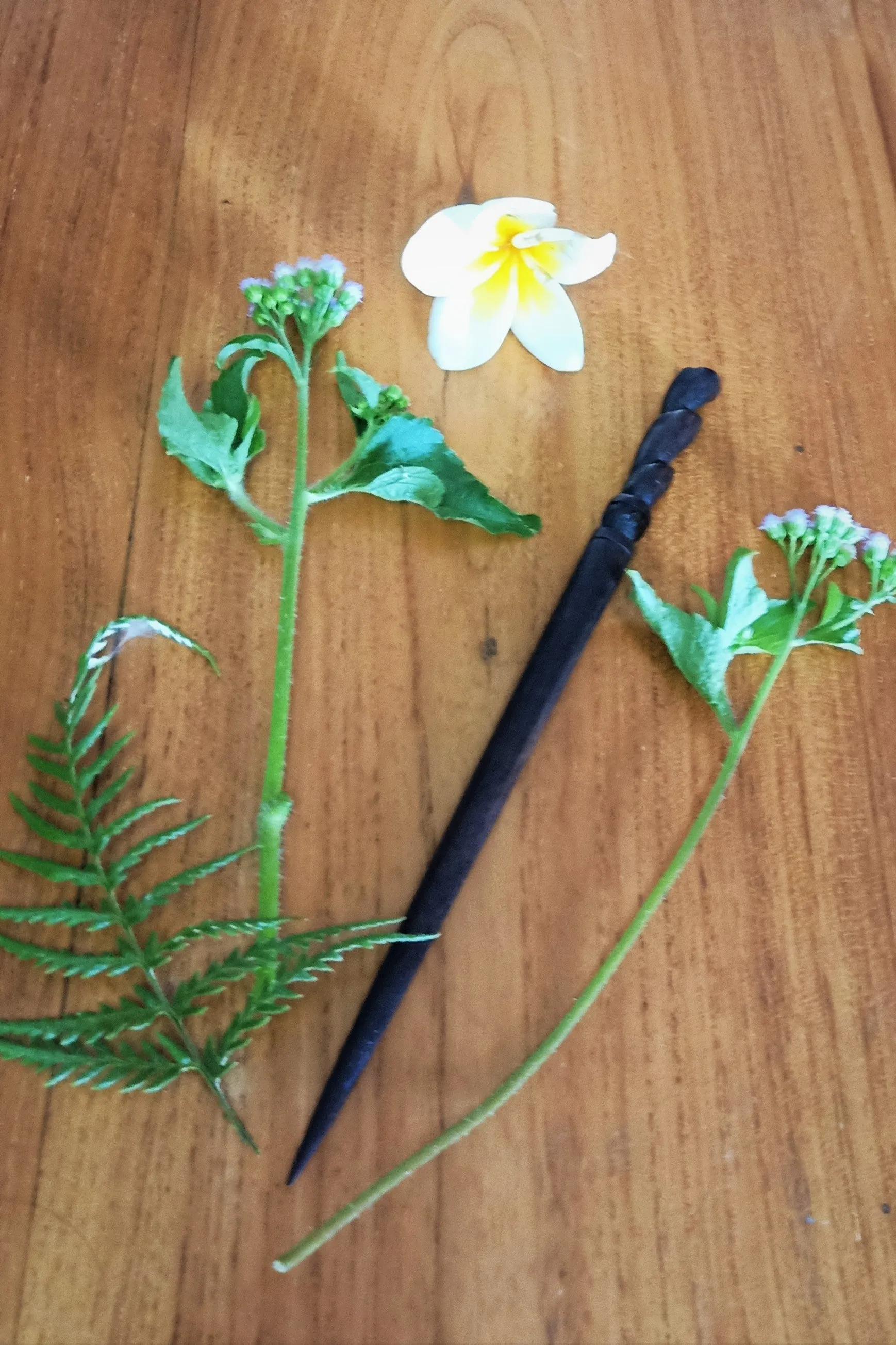 Carved Wooden Hair Sticks