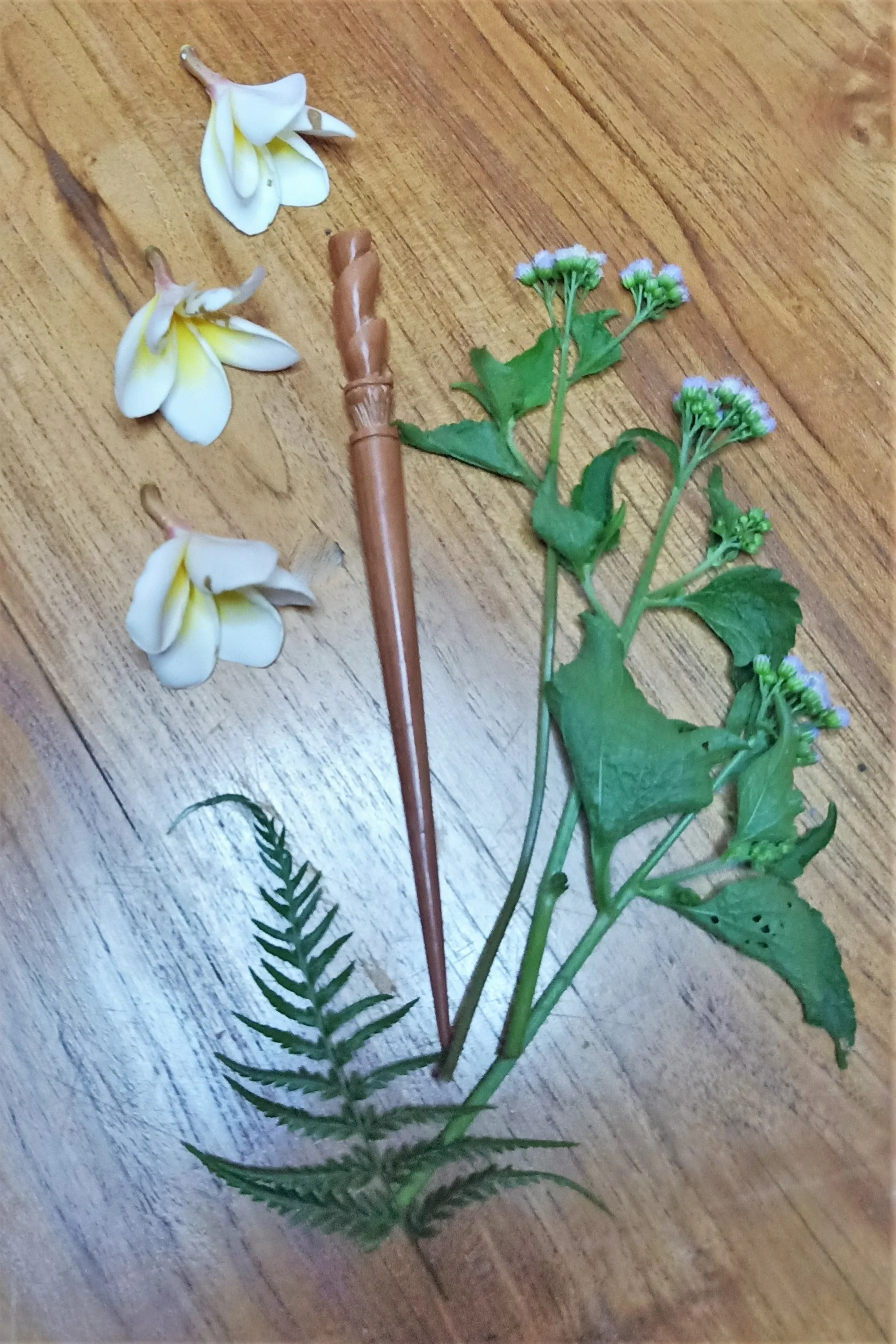 Carved Wooden Hair Sticks