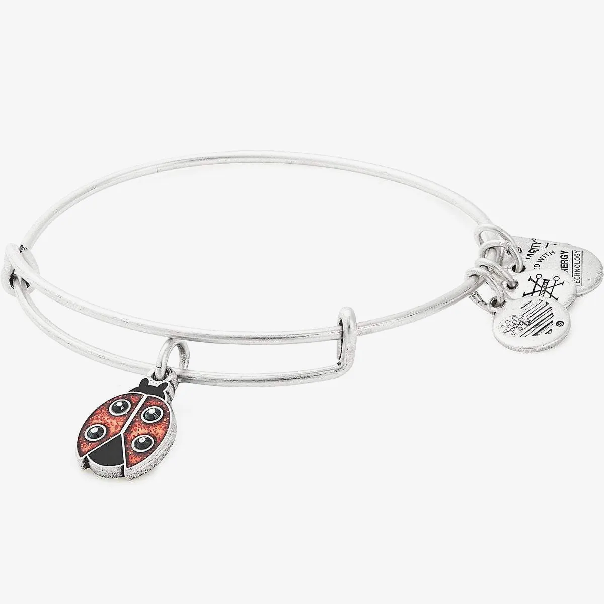 Ladybug Charm Bangle