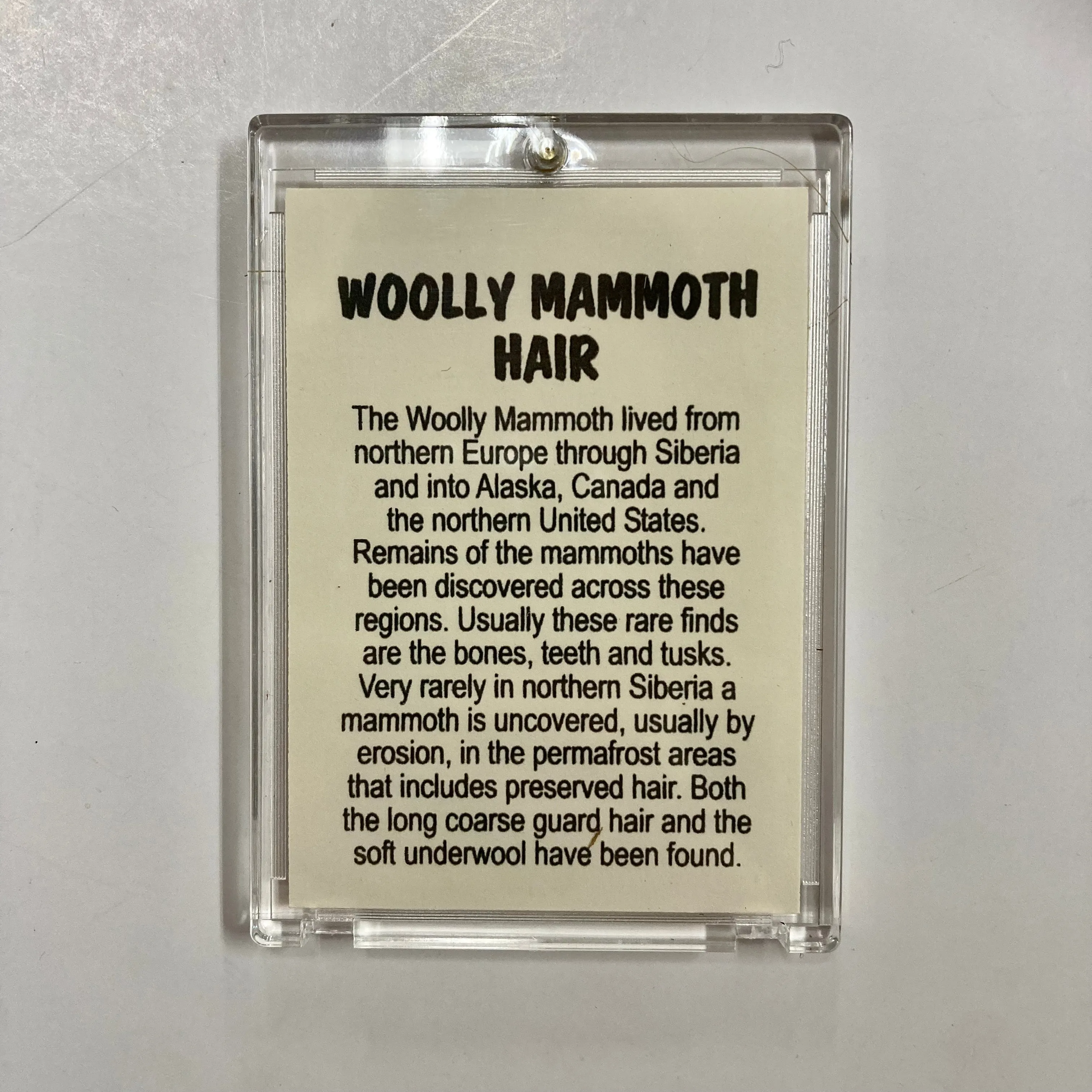 Mammoth Hair