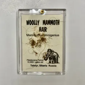 Mammoth Hair