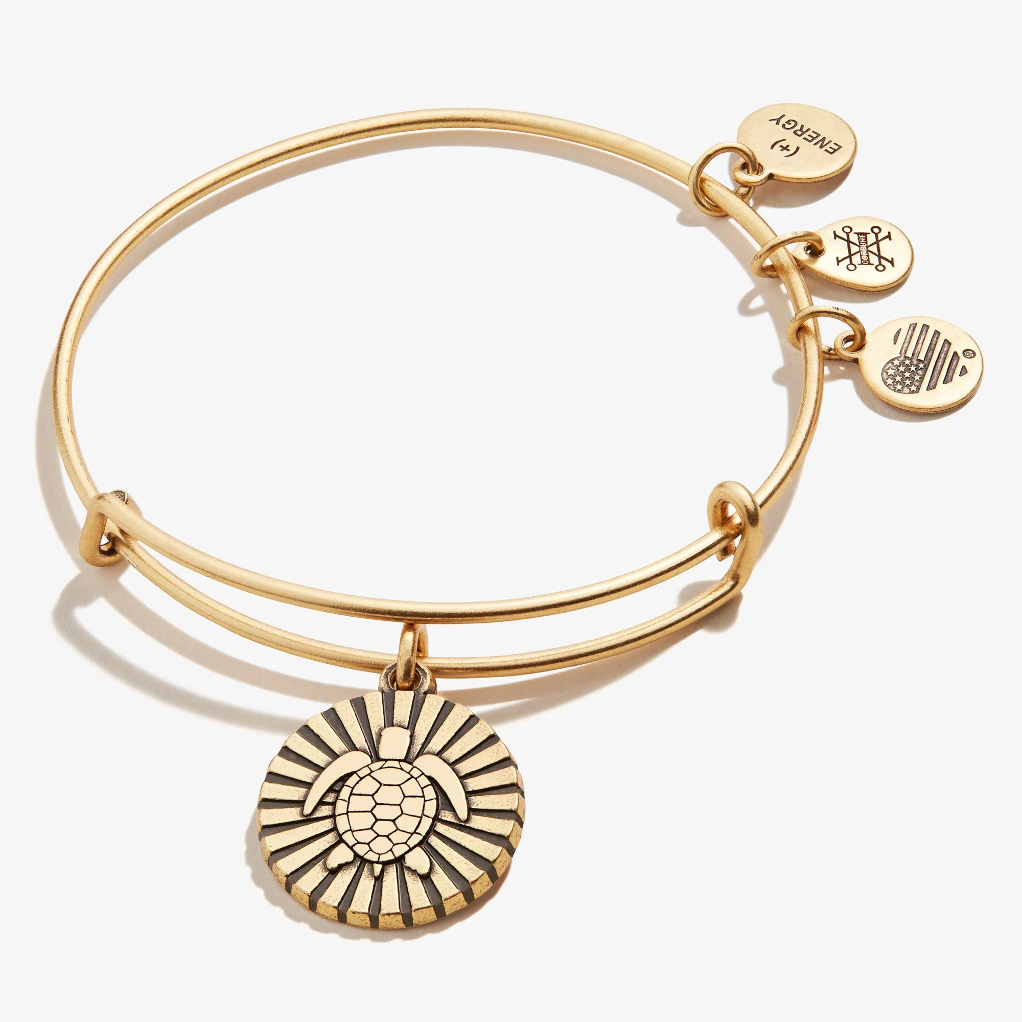 Sea Turtle Charm Bangle